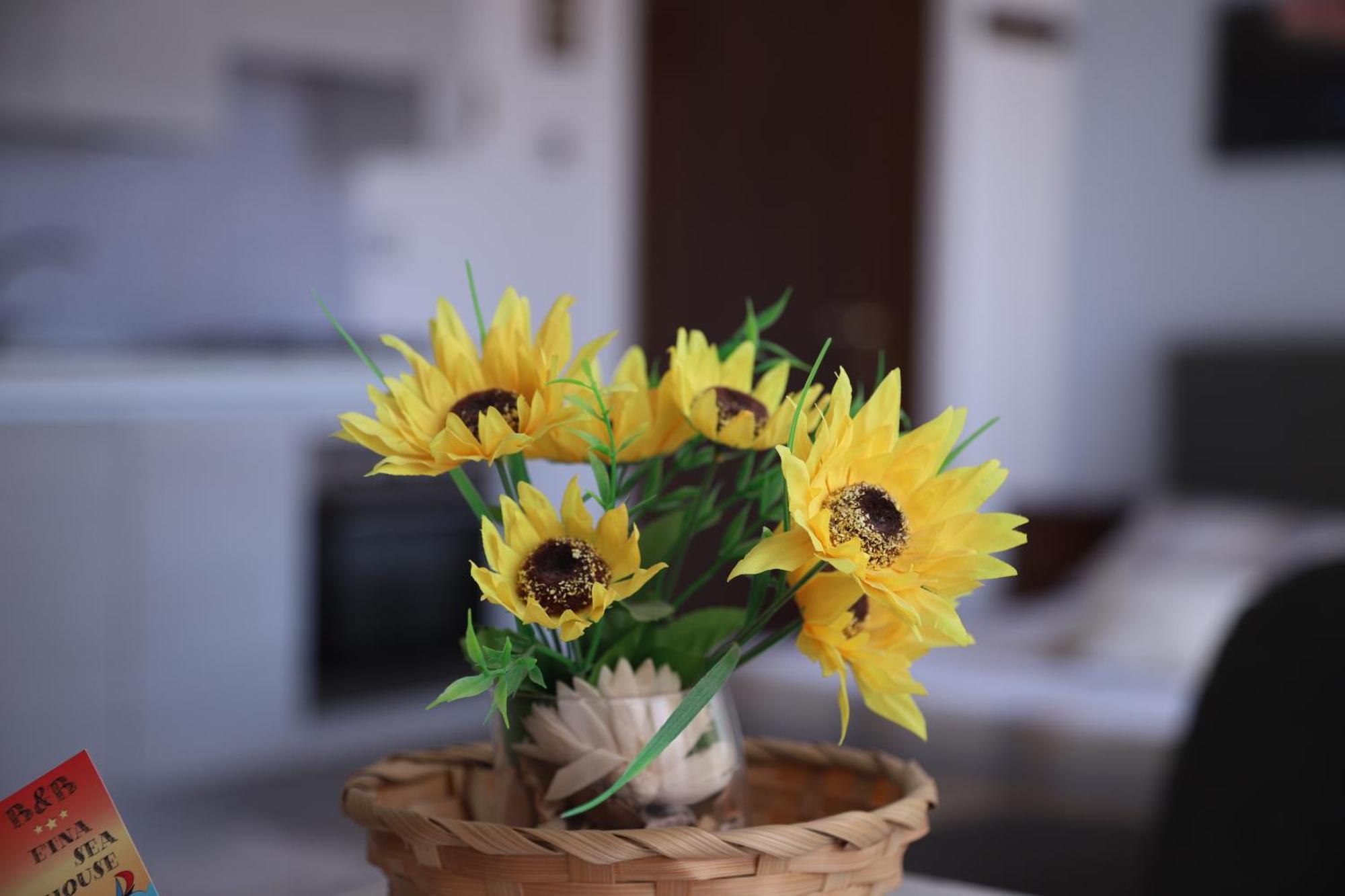 Bed & Breakfast Etna Sea House Catania